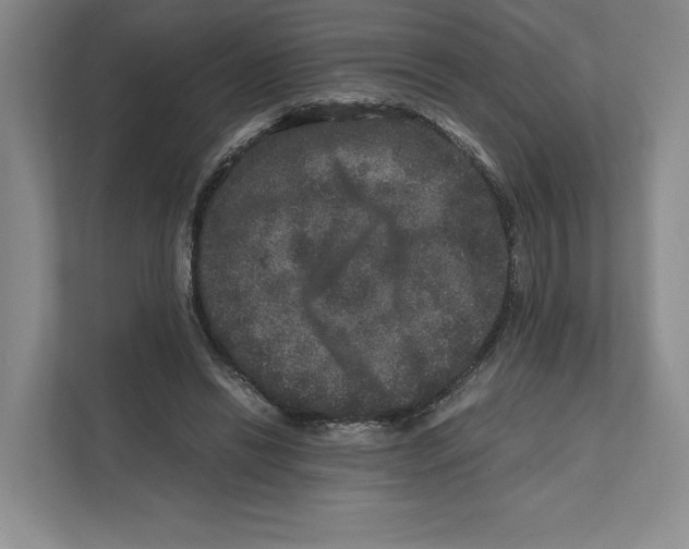 X0000111810446200908201114