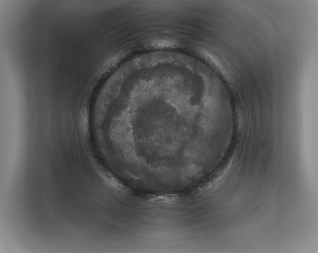 X0000111810447200908201114