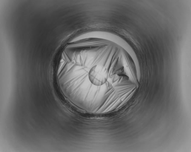 X0000111810448200908201114