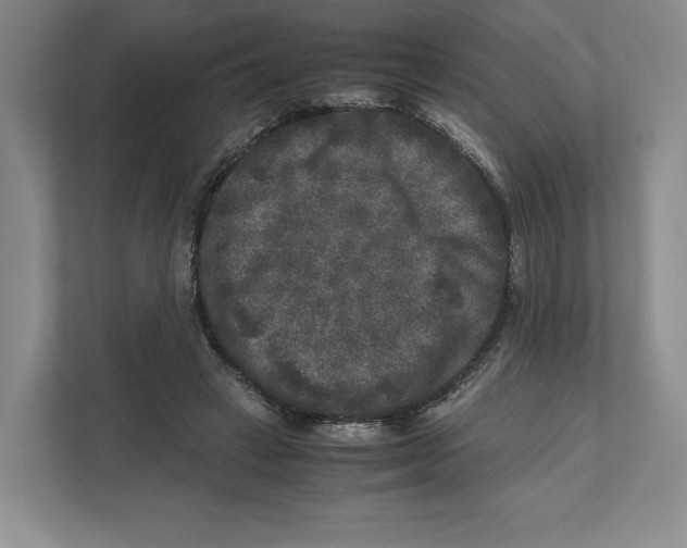 X0000111810449200908201114