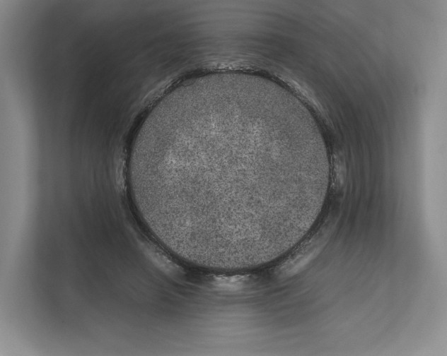 X0000111810450200908201114