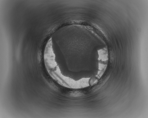 X0000111810451200908201114