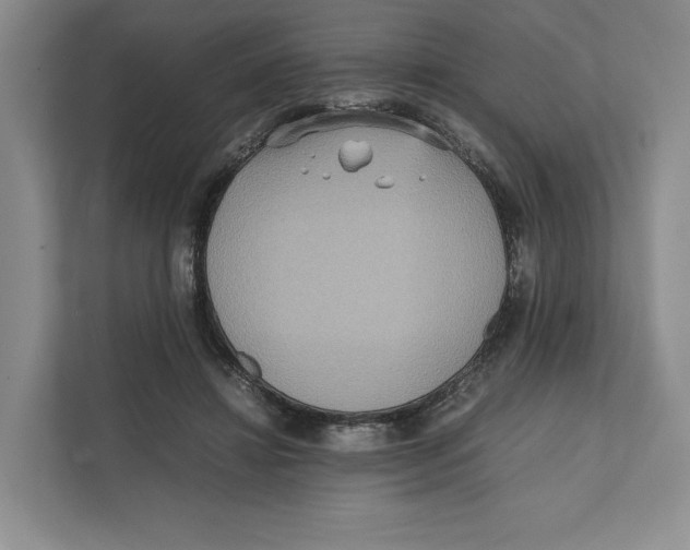 X0000111810452200908201114