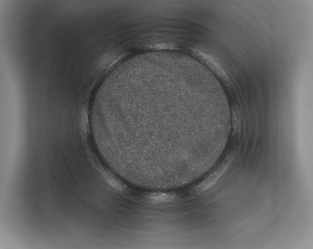 X0000111810453200908201114