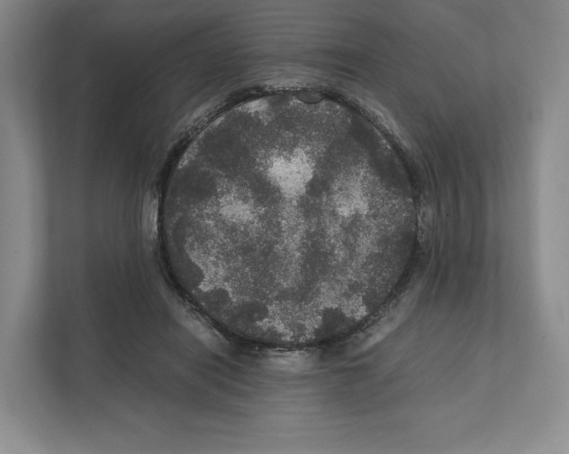 X0000111810454200908201114