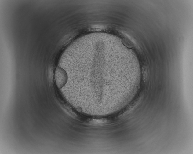 X0000111810455200908201114