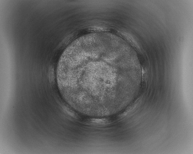 X0000111810457200908201114