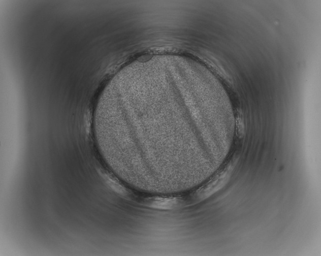 X0000111810458200908201114