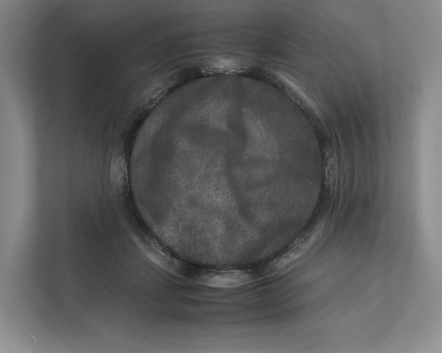 X0000111810459200908201114