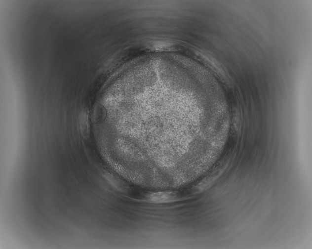 X0000111810461200908201114