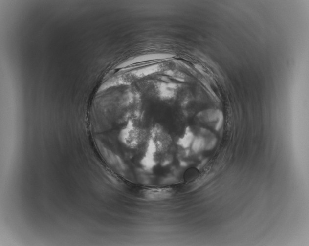 X0000111810465200908201114