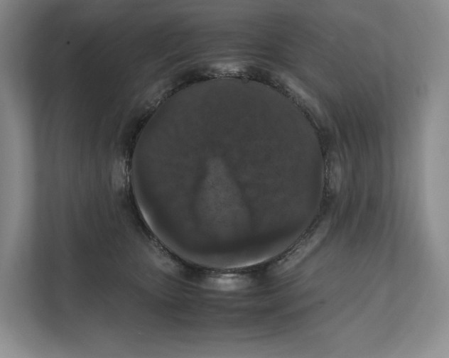 X0000111810467200908201114