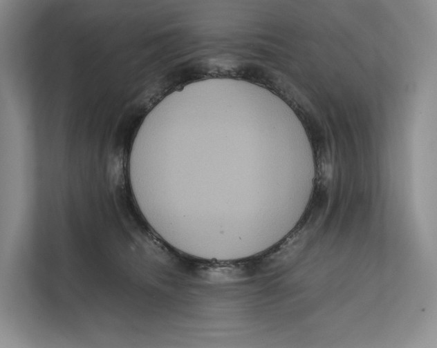 X0000111810468200908201114