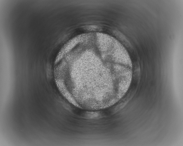 X0000111810469200908201114