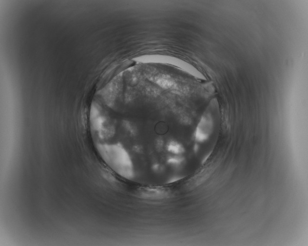 X0000111810475200908201114
