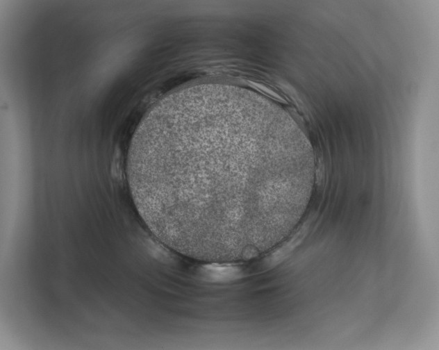 X0000111810477200908201114