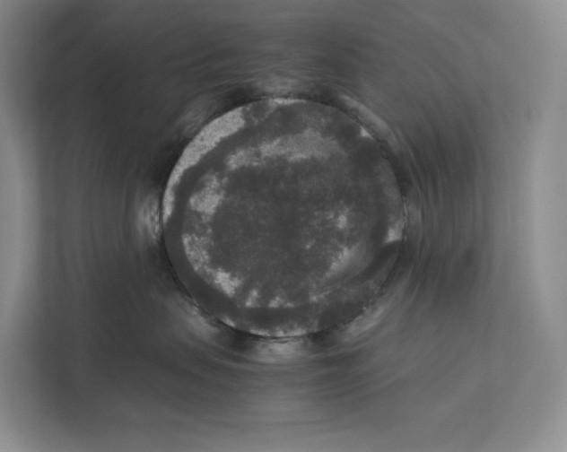 X0000111810479200908201114