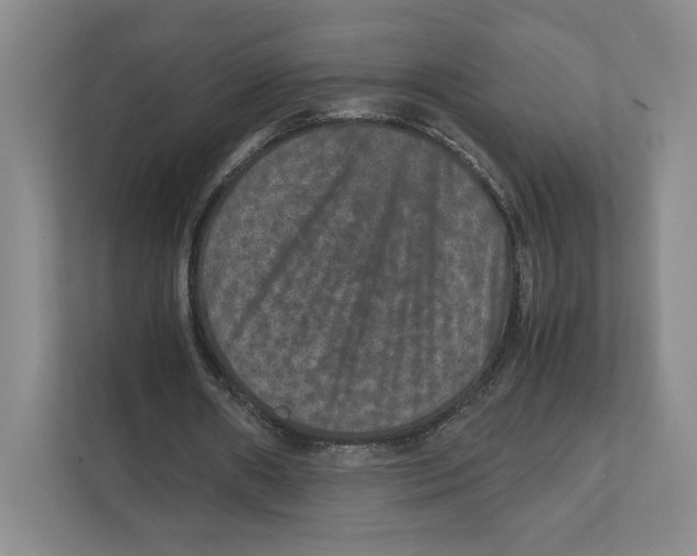 X0000111810482200908201113