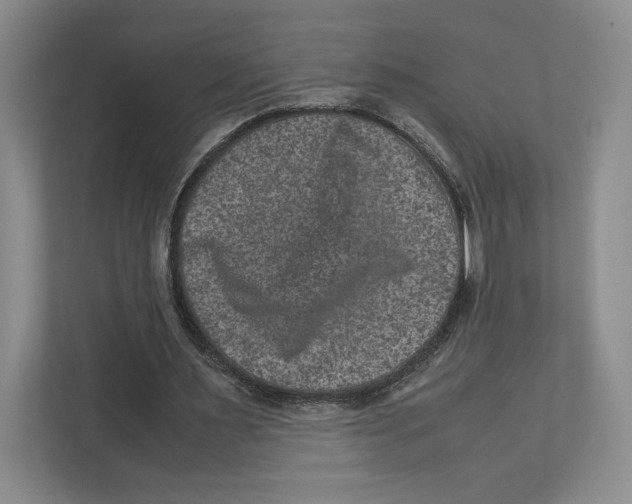 X0000111810483200908201113