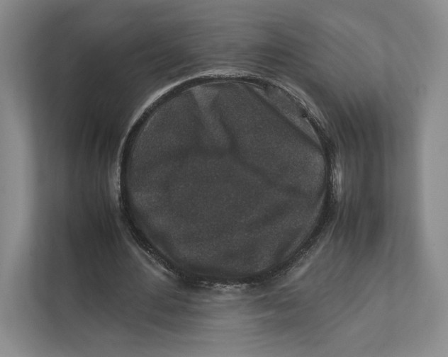X0000111810484200908201113