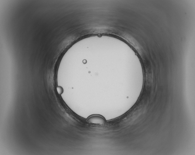 X0000111810485200908201113