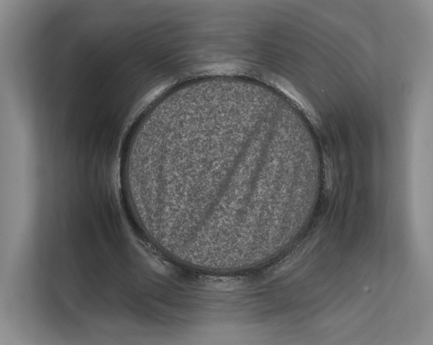 X0000111810486200908201113