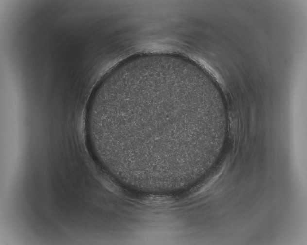 X0000111810487200908201113
