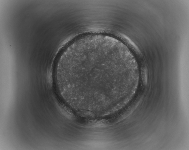 X0000111810488200908201113