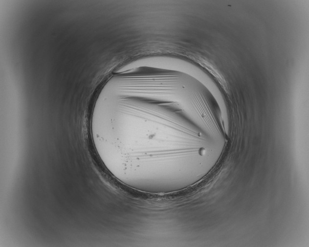 X0000111810489200908201113