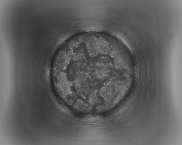 X0000111810491200908201113