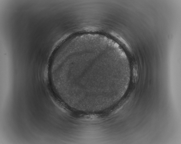 X0000111810492200908201113