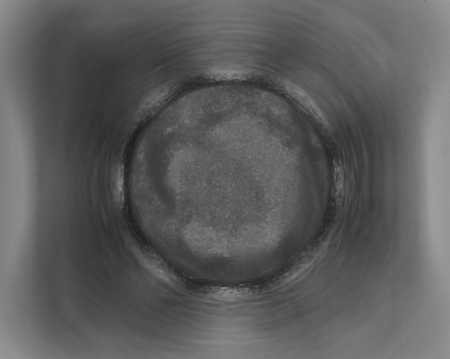 X0000111810494200908201113
