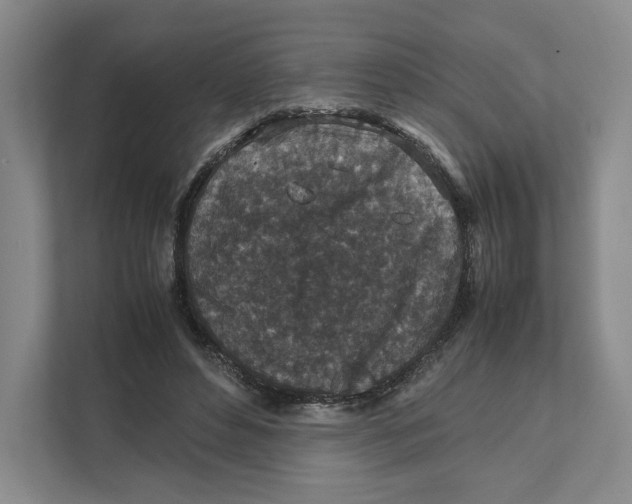 X0000111810496200908201113
