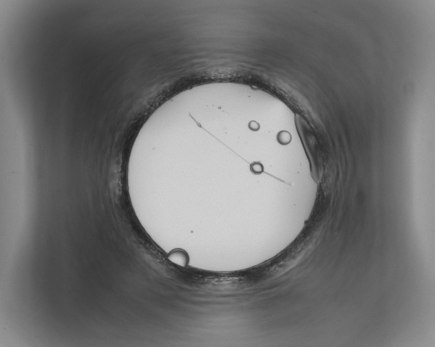 X0000111810497200908201113