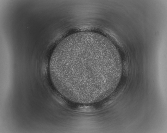 X0000111810499200908201113