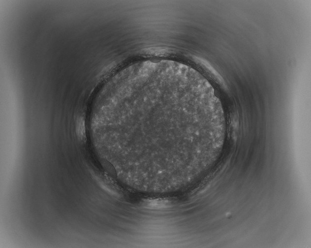 X0000111810500200908201113