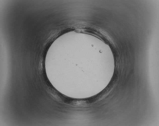 X0000111810501200908201113