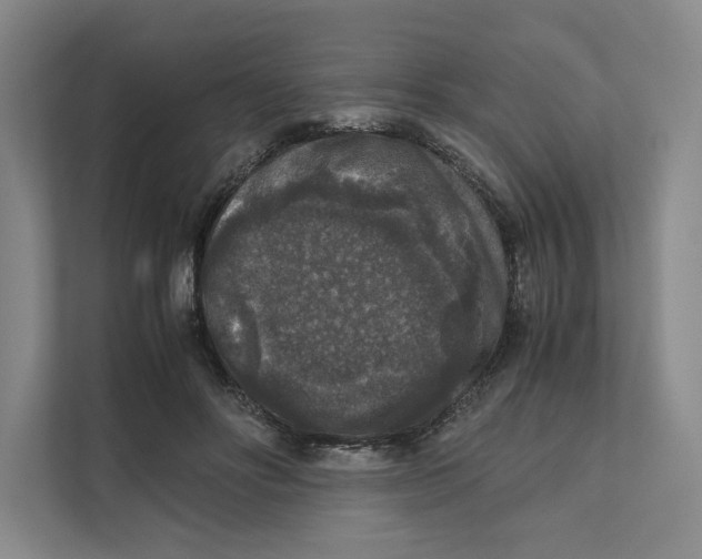 X0000111810502200908201113