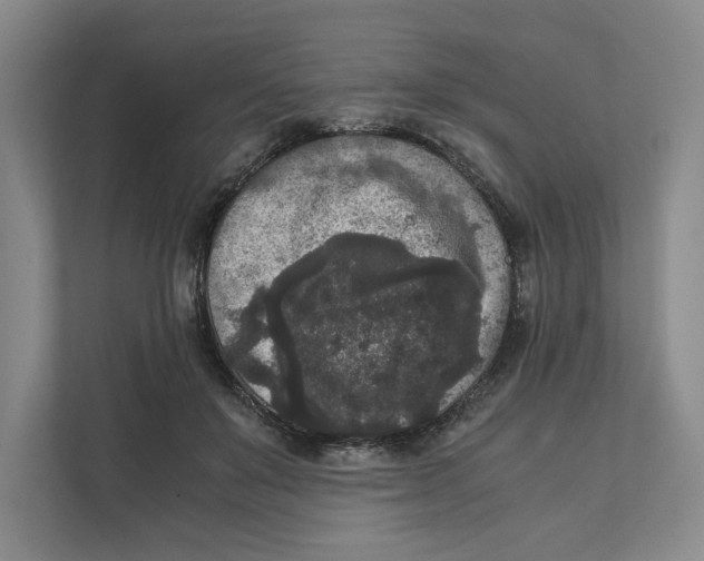 X0000111810503200908201113