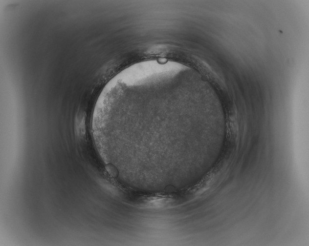 X0000111810504200908201113