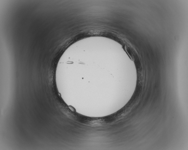 X0000111810505200908201113