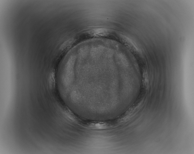 X0000111810506200908201113