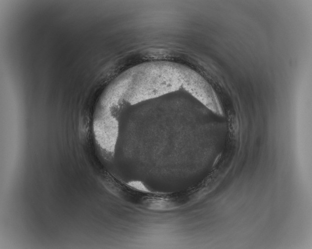 X0000111810507200908201113