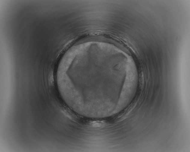 X0000111810508200908201113