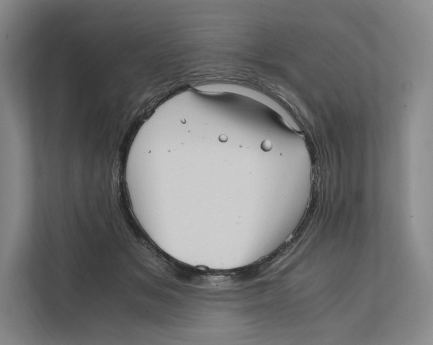 X0000111810509200908201113
