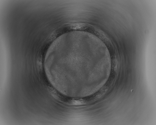 X0000111810510200908201113