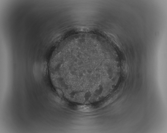 X0000111810511200908201113