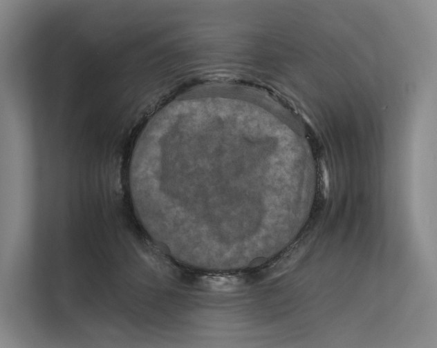 X0000111810512200908201113