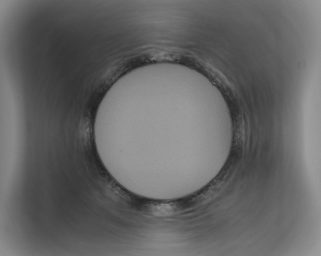 X0000111810513200908201113