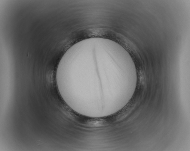 X0000111810514200908201113